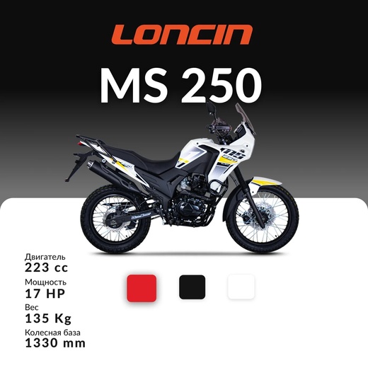 Мотоцикл LONCIN MS250 (белый) pitbikemarket.ru