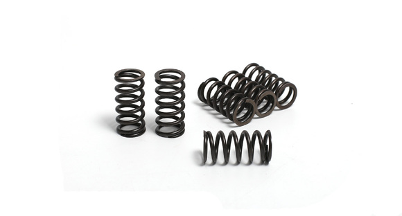 Комплект пружин сцепления (6шт.) 172FMM (165, 169, 174) pitbikemarket.ru